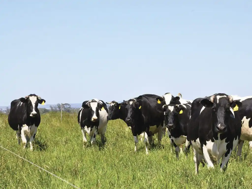 "Los tamberos también somos ganaderos"