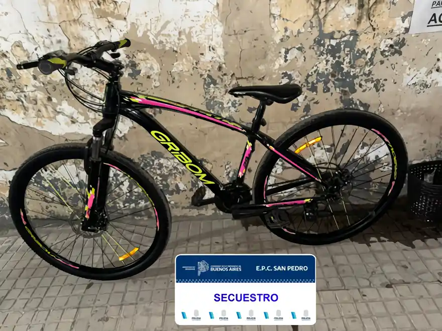 El rodado fue secuestrado y posteriormente restituido a su dueño.