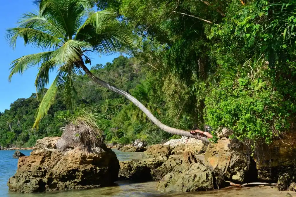 Sol llegó a la isla en diciembre del año pasado, y estuvo varada durante marzo y abril intentando volver.