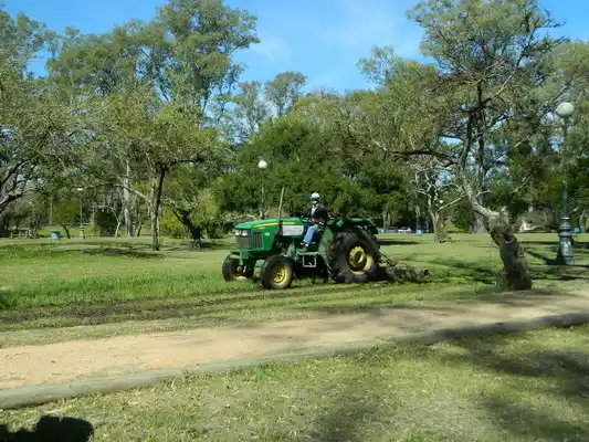 Trabajan en el mantenimiento de espacios públicos y en el arbolado de las calles
