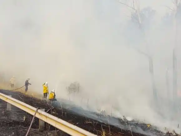 Incendio forestal en el kilómetro 270 de la Ruta 14