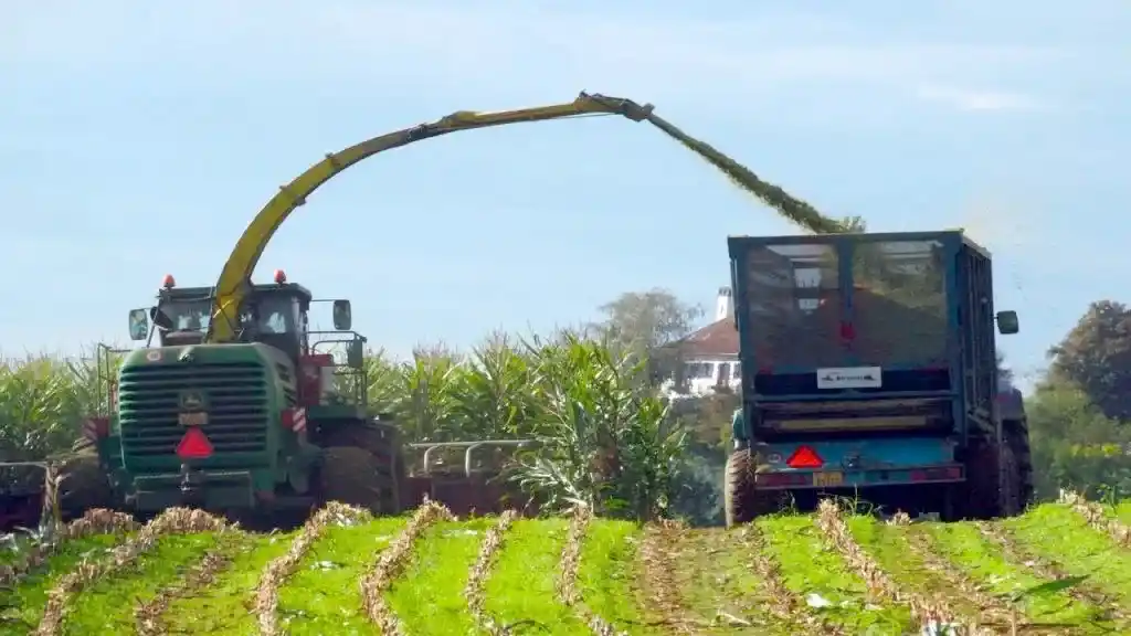 El agro proyecta exportaciones por más de US$36.000 millones en 2026