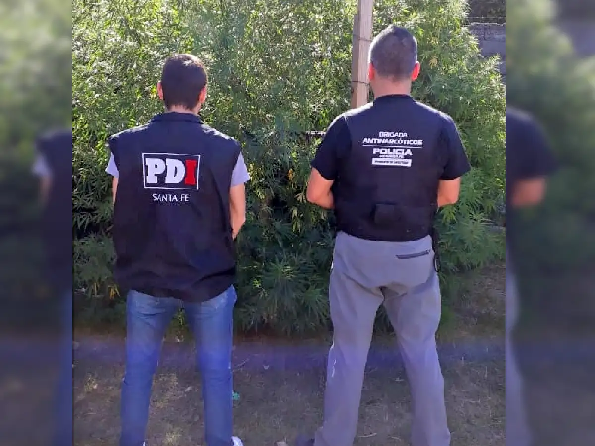 Un detenido y secuestro de droga  y dos armas en Frontera y Acapulco