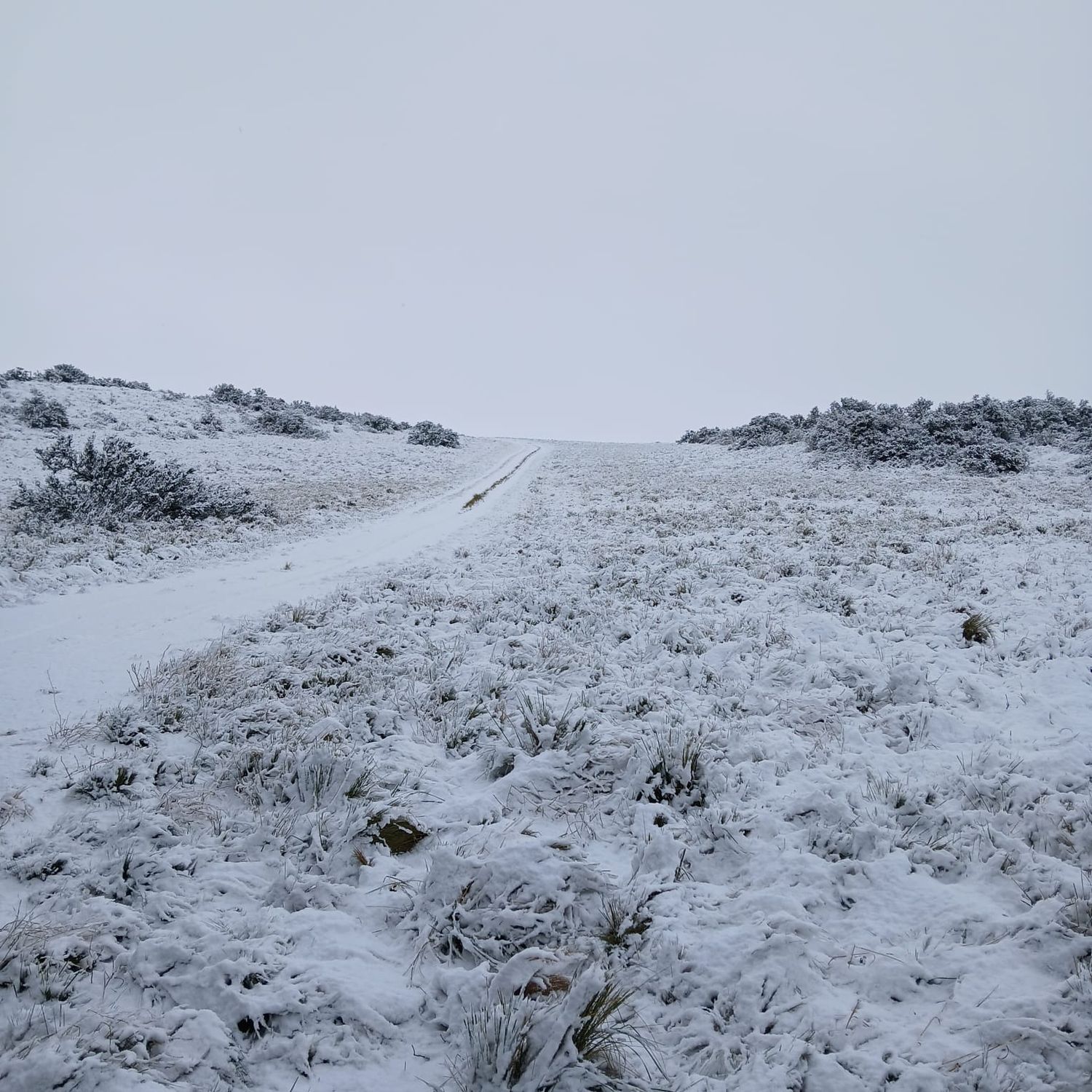 Nevó en la zona, ¿y en Tres Arroyos, qué pasará en las próximas horas?