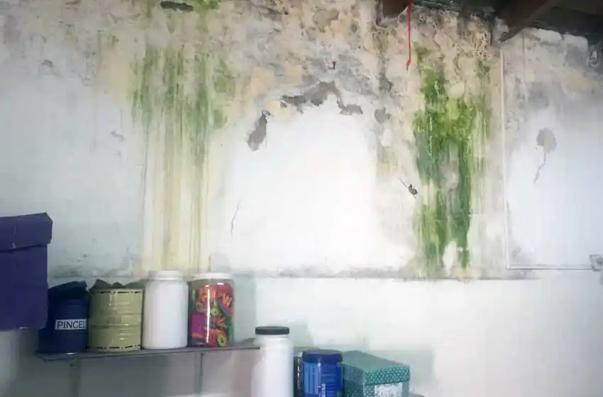 Renunció el encargado de la infraestructura escolar de la provincia