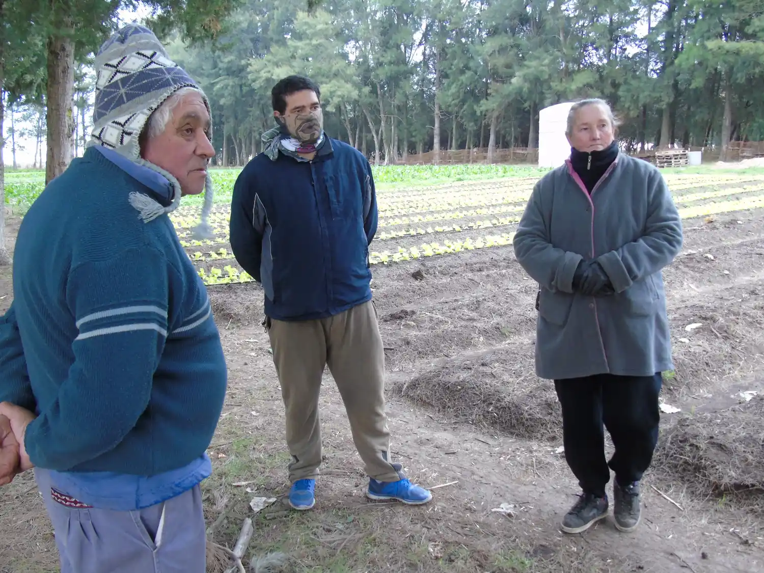 La huerta agroecológica es una apuesta saludable que suma familias al mercado laboral