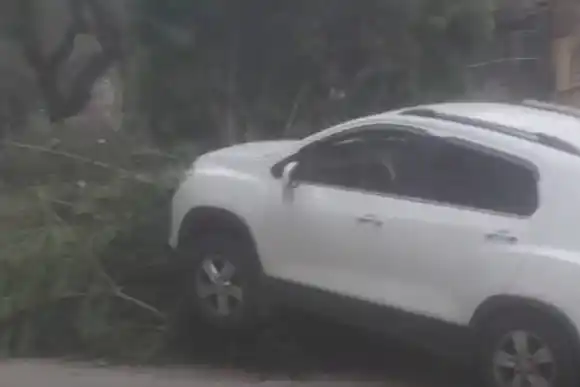 Una automovilista protagonizó un fuerte choque contra un árbol en el centro