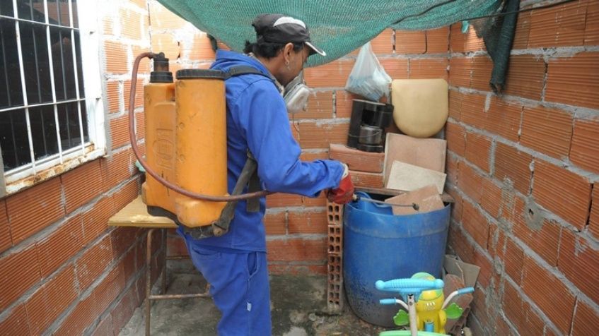 Ya son 13 los casos de dengue autóctono en Rosario
