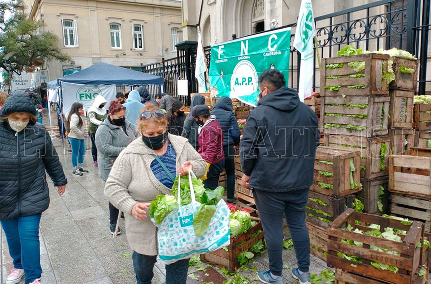 Regalan verduras para denunciar sobreprecios: "Es triste verla carísima cuando a vos te pagan una miseria"