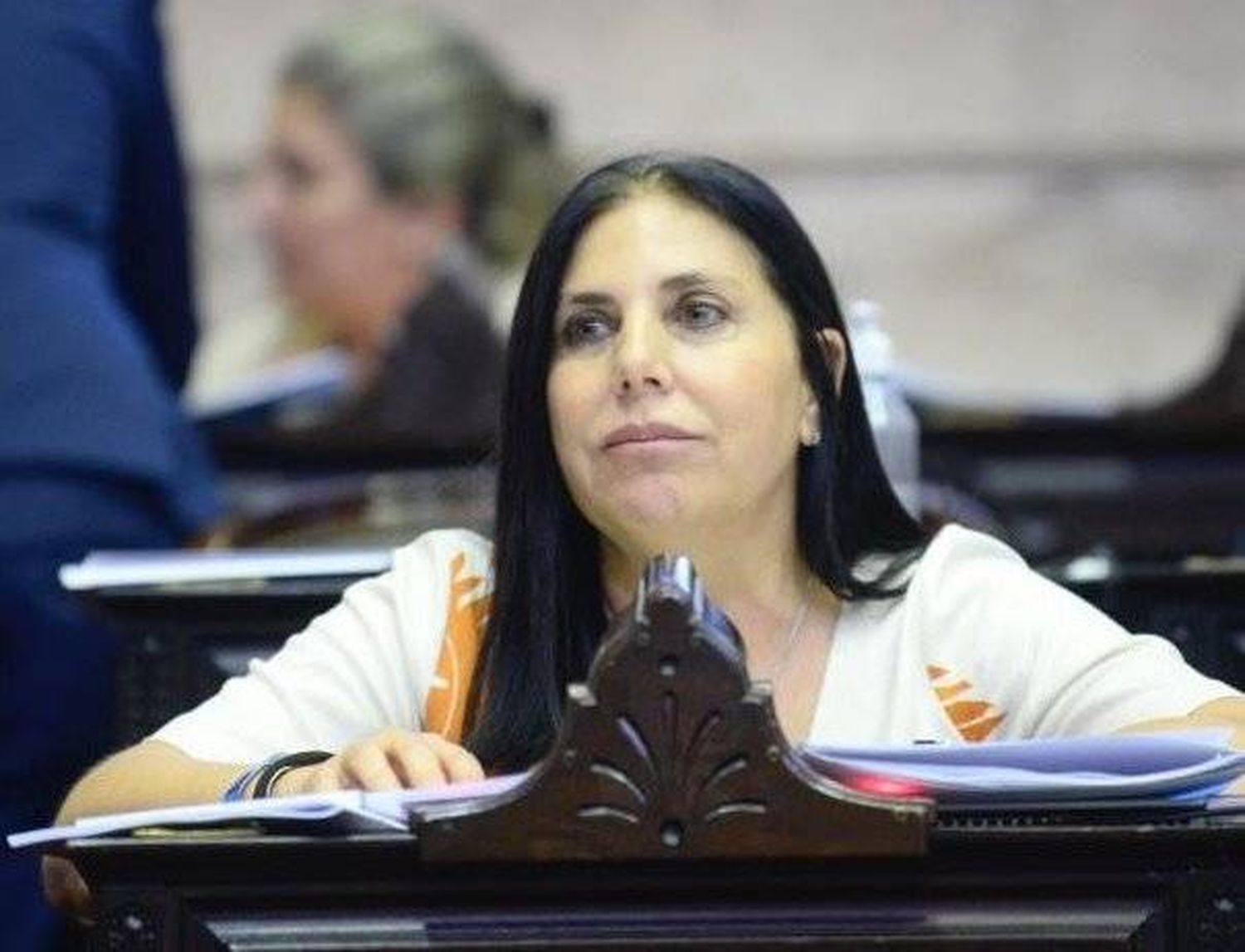 Lena pide derogar facultad del Ejecutivo nacional para gravar exportaciones