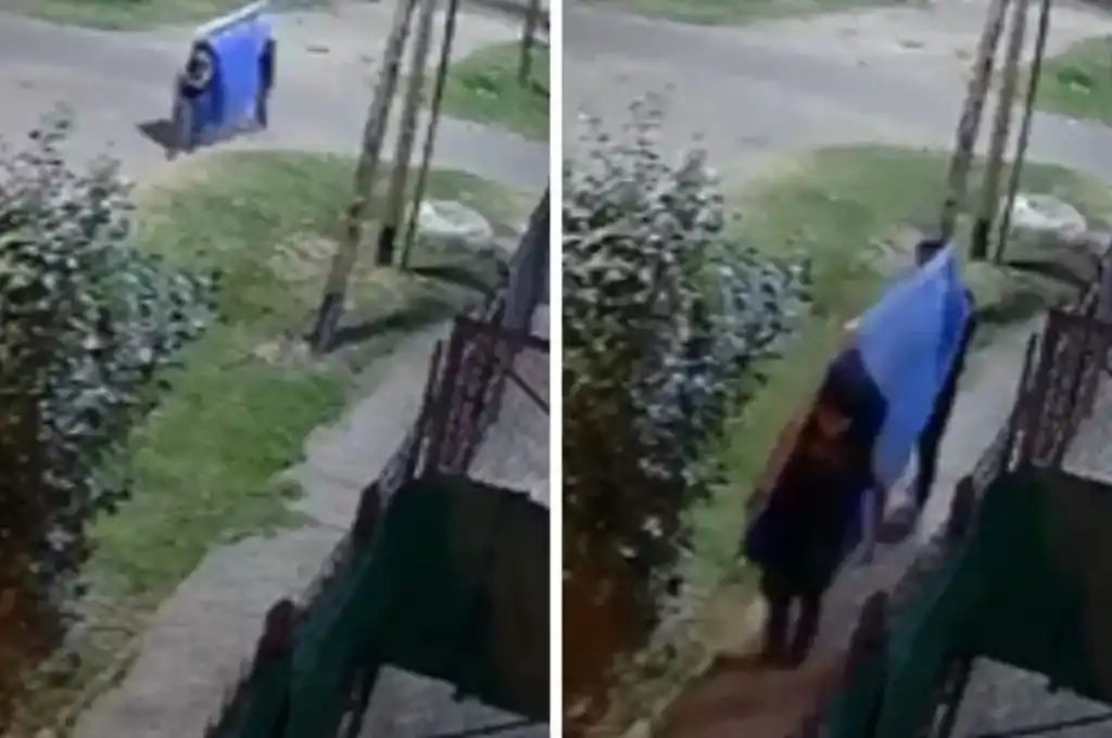 Robo de una pileta de lona en Quilmes. (Foto: Capturas de X)