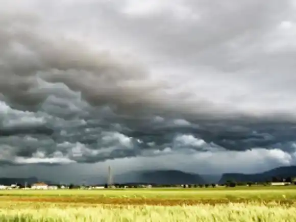 Las inesperadas retenciones que quiere el campo y el Gobierno de Javier Milei le podría sostener