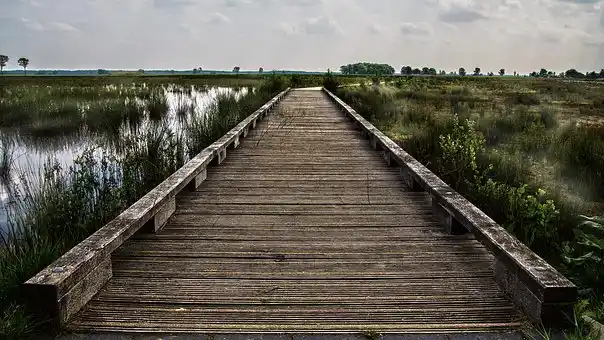 Concurso fotográfico, literario y olimpíadas ambientales