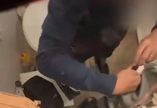 Imágenes del video en donde se captó al responsable.