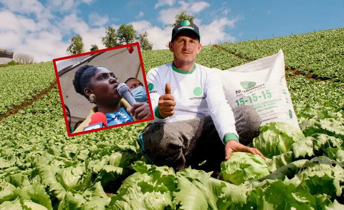 ¡SIN PISO LA VICE DE PETRO! Monómeros responde a Francia Márquez