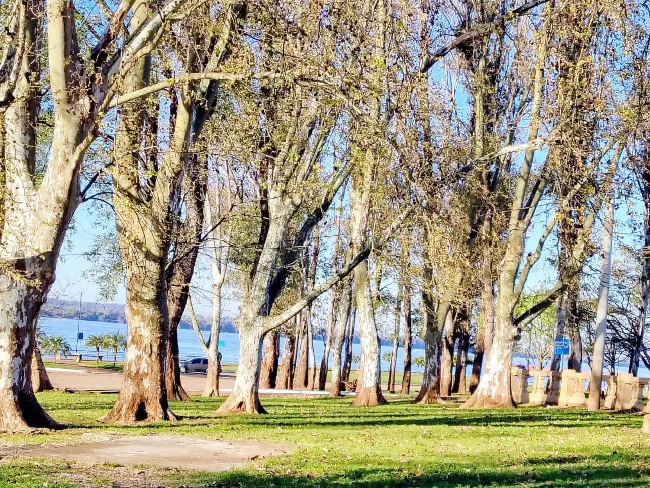 Pronostican temperaturas de 30 grados en el Litoral: qué pasará con el tiempo en Entre Ríos