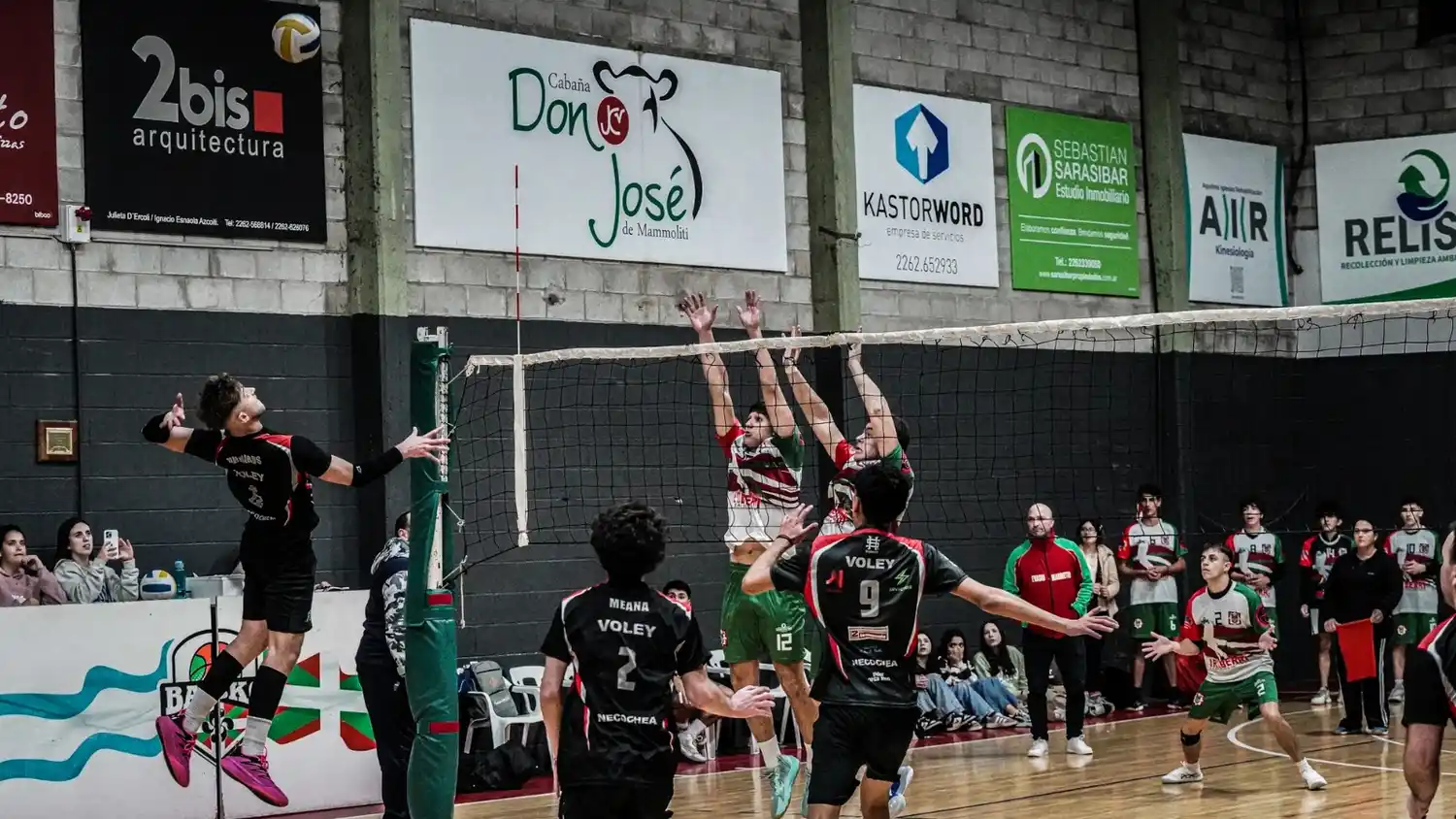 Vóleibol masculino