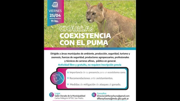 Pumas charlas 1