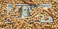 Los dólares del agro no alcanzan