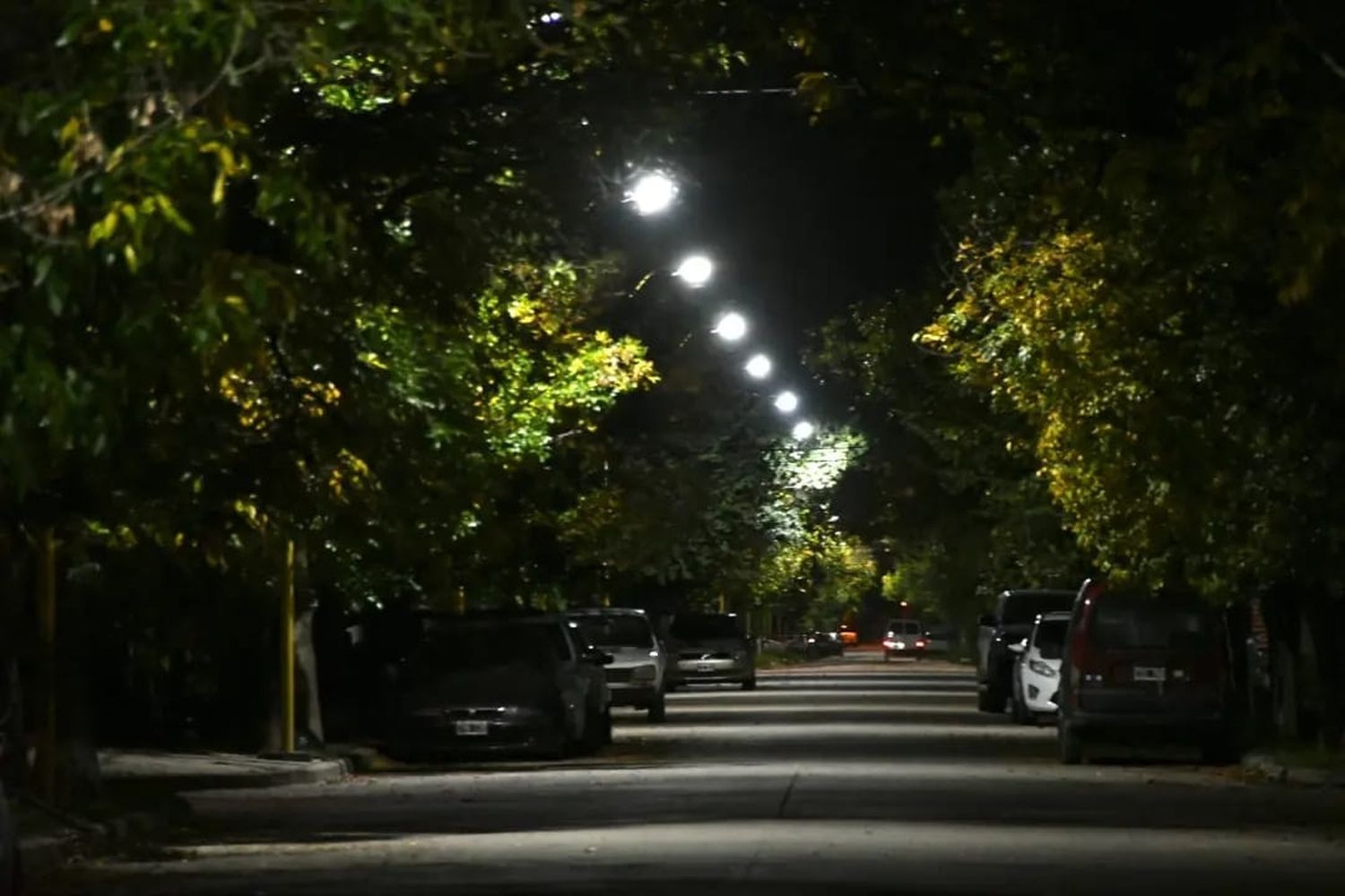 Instalaron 33 nuevas luces LED en barrio Jardín