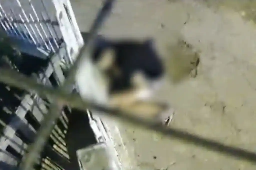 Un oficial de la Policía de la Ciudad mató a dos ladrones que intentaron robarle la moto