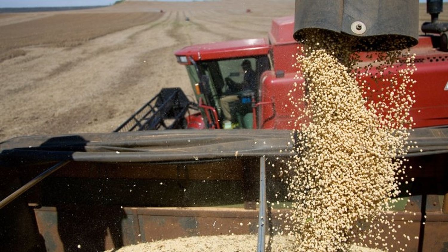Avanza la súper cosecha de soja argentina: el Gobierno estima 59 millones de toneladas