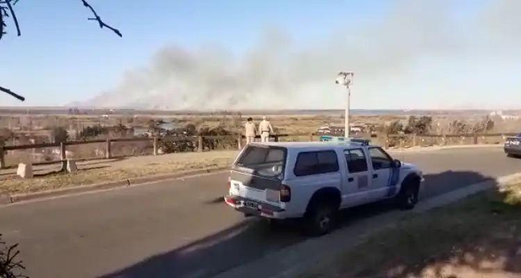 Incendios en la zona de islas: en lo que va del año se registraron casi 12 mil focos y crece la preocupación