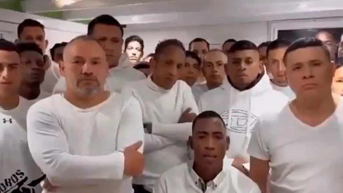 ¿LOS VERDADEROS? LOS LOBOS «DAN LA CARA»: niegan haber matado a Villavicencio (Video)