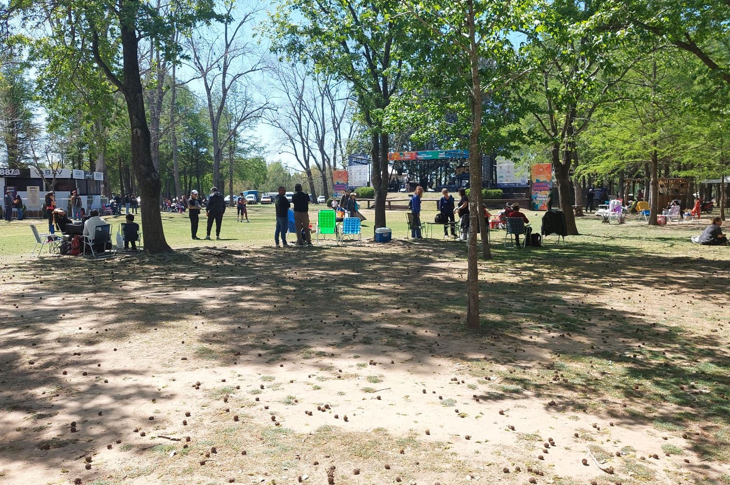San Pedro Country Music Festival 2024: así es la distribución en el Paseo Público