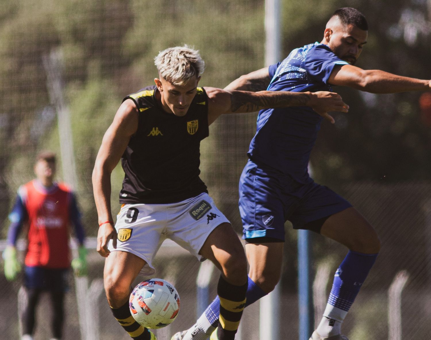 Alvarado cayó ante Santamarina en un nuevo partido de preparación