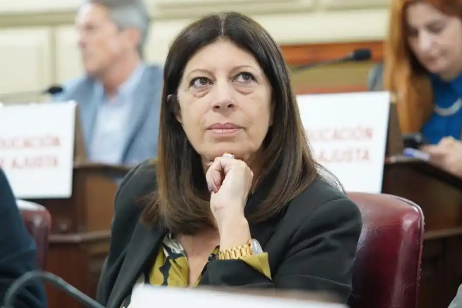 Clara García: “A tres años de gestión, Perotti sigue improvisando en materia de educación”