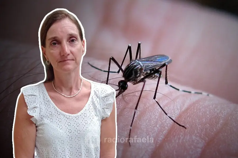 Gran brote de casos de Dengue en la ciudad