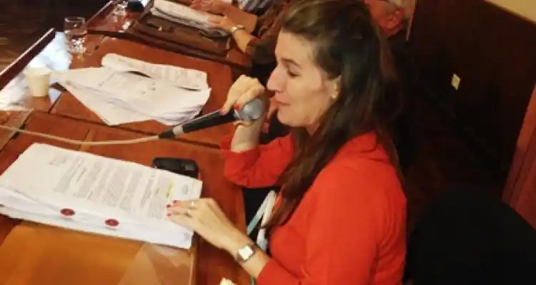 Concejales quieren saber cuánto recauda el Hospital