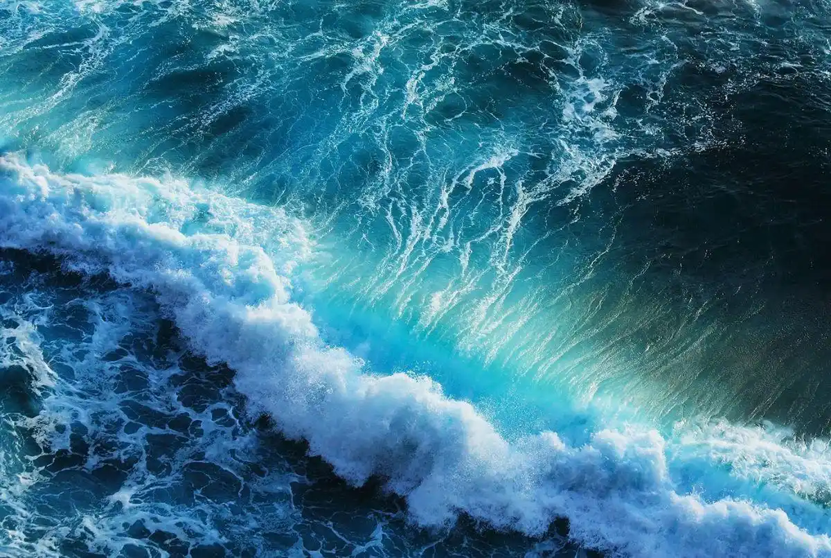 Diferencias entre océanos y mares