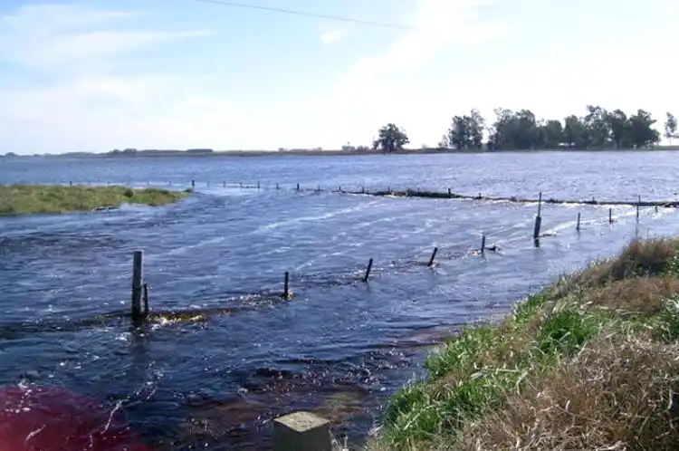 Inundaciones: Oficializan el estado de emergencia agropecuaria