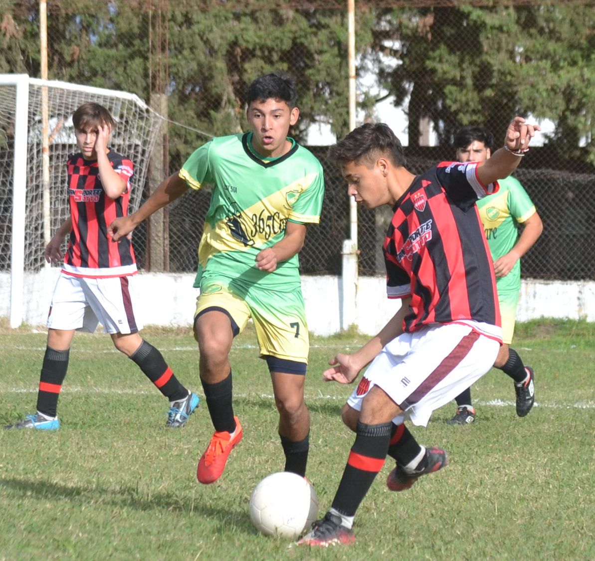Se conoce el fixture del Torneo Oficial
de Divisiones Inferiores de la Liga local