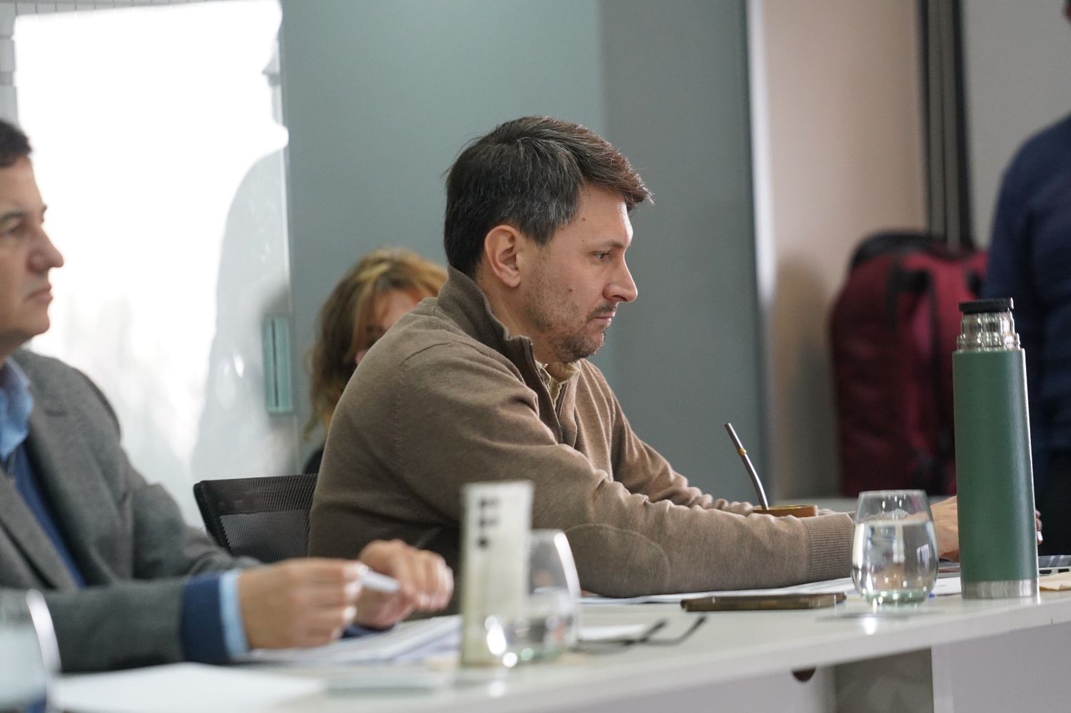 Puricelli afirmó que acompañará la lista “Más radicalismo”, que encabeza Mestre.