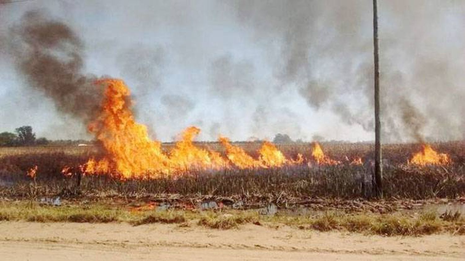 Un �Smamarracho⬝ el proyecto de ley sobre el fuego que  promueve Máximo Kirchner