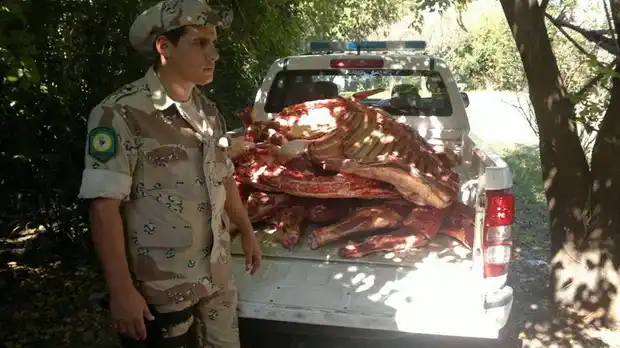 Secuestraron más de 400 kilos de carne vacuna de una carnicería 