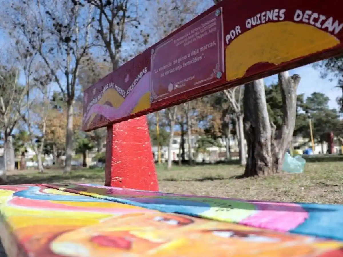 Presentaron en Jujuy el primer "Banco Rojo", símbolo de la lucha contra del femicidio