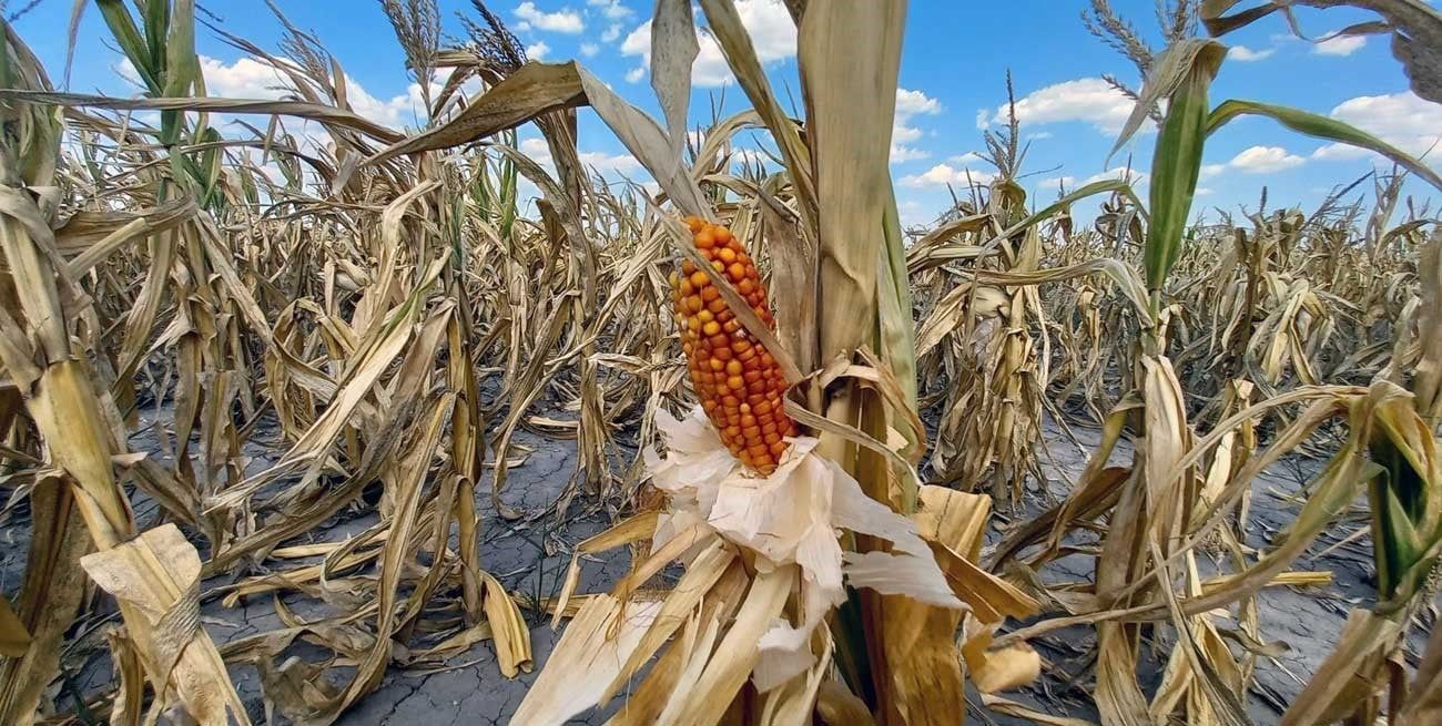 Sequía crítica: después de una Niña persistente, en el otoño cambiarían las condiciones