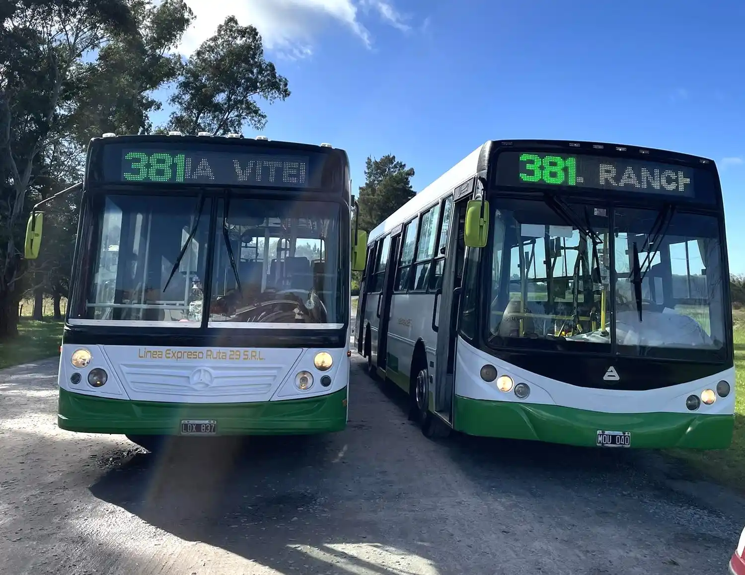 Chascomús–Ranchos: la Línea 381 prepara nuevos horarios, mejoras en la flota y una convocatoria laboral