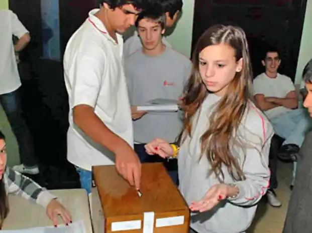 Elecciones 2013: Un juego de internet explica el proceso electoral a los jóvenes
