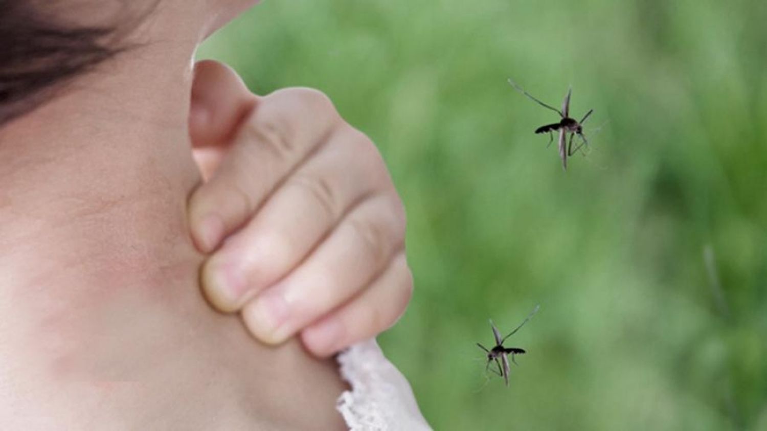 Pese a que los casos en el país superaron el registro histórico, en Tandil no hubo dengue