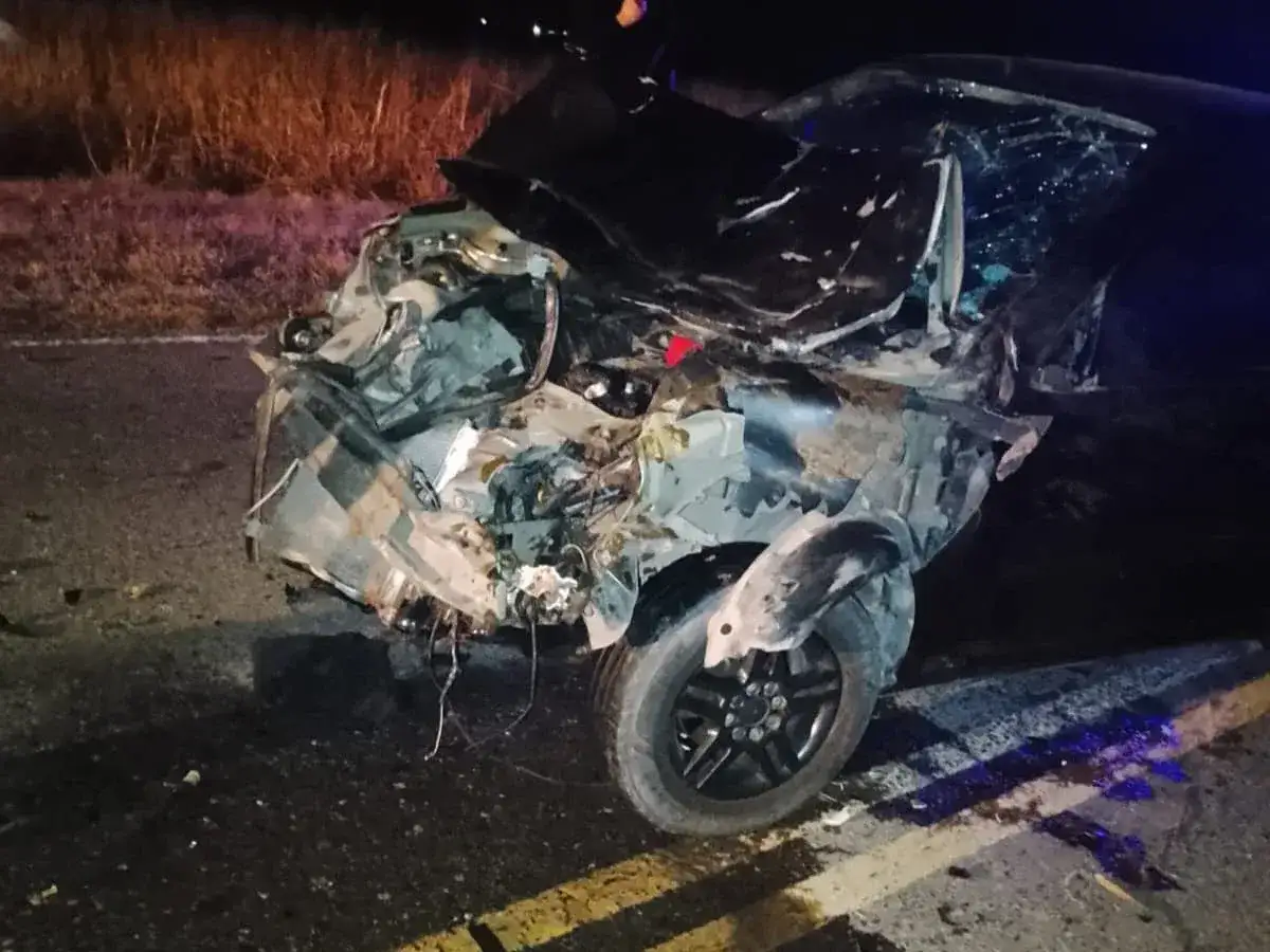 Laspiur: un auto chocó contra animales vacunos en la Ruta 158 y sufrió daños materiales