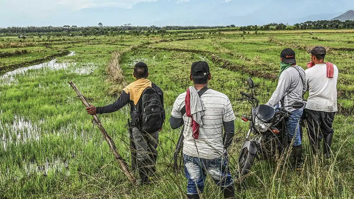 Petro quiere calmar a invasores de tierras con 60 billones de pesos
