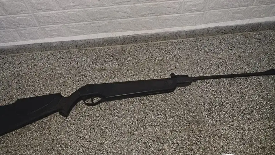 Un adolescente cazaba liebres en Entre Ríos y su amigo le dio un tiro en la frente