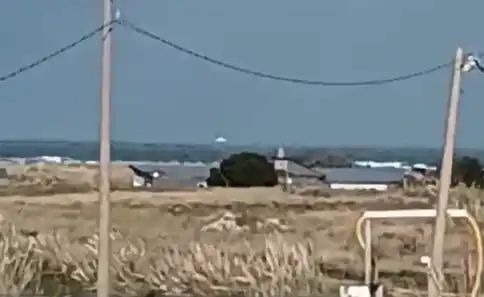 “Mirá lo que hay en el mar”