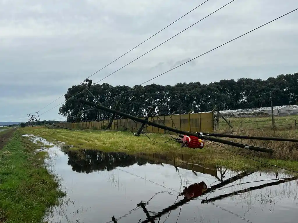 La tormenta provocó calles anegadas, postes de luz caídos y la intervención del Municipio en 9 domicilios