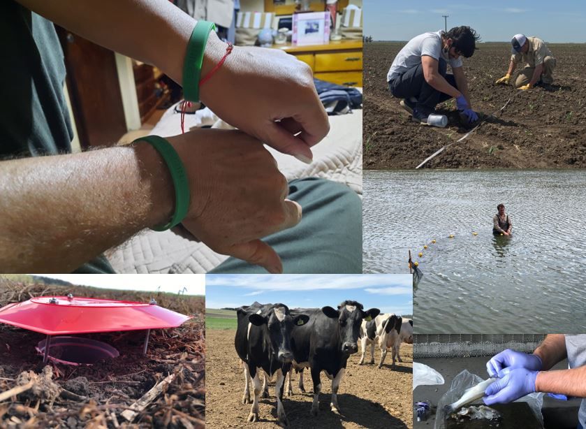 Una caja de herramientas para evaluar el impacto de los agroquímicos en la salud y el ambiente